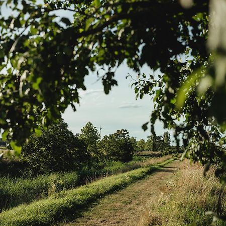 Chalaalets Villa Laa an der Thaya Eksteriør bilde